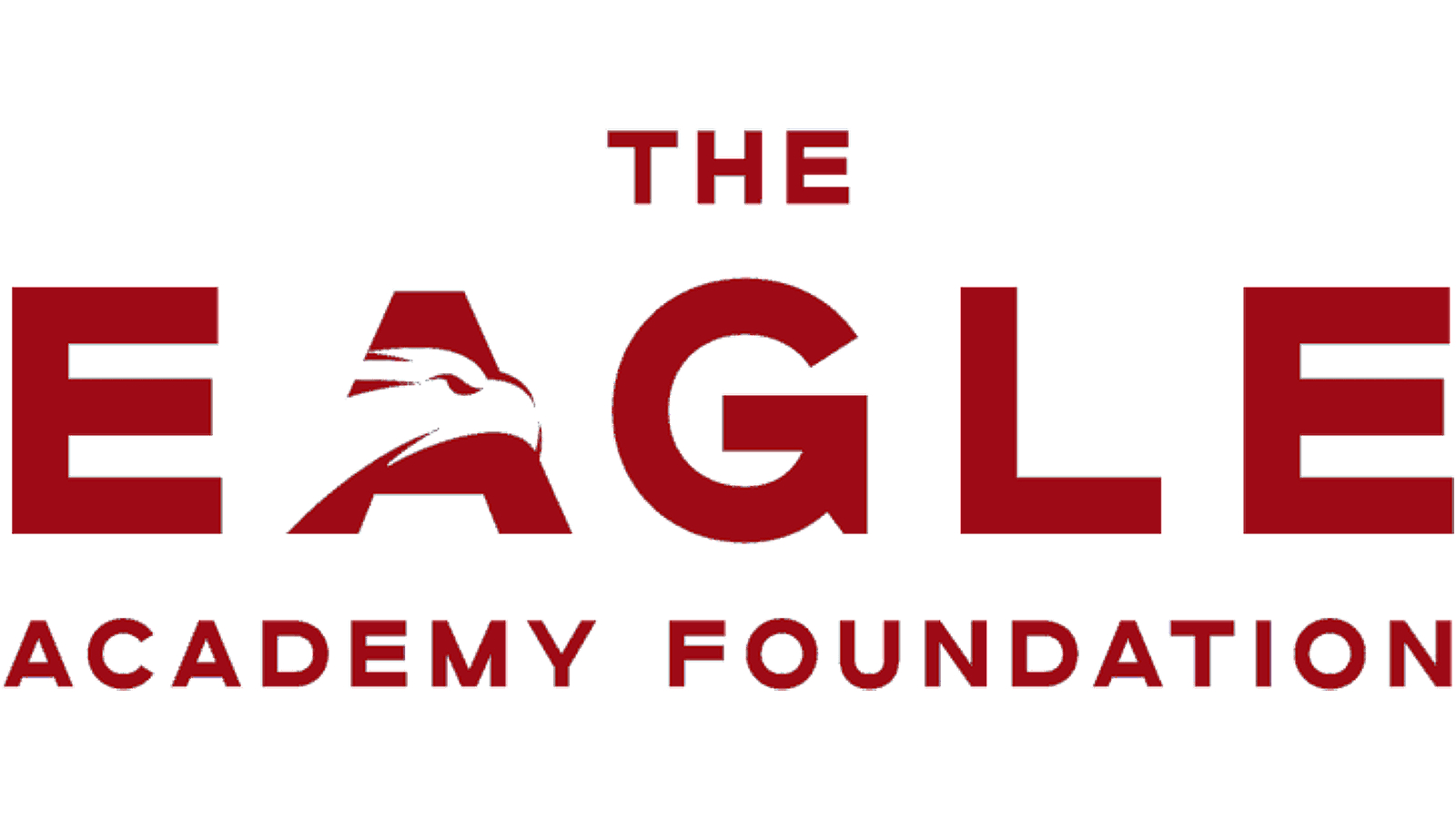 The Eagle Academy Foundation Inc logo